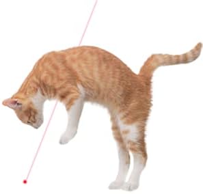 Laser Pointer Cat Toy, Interactive Toy with Red Dot LED Light Pointer, Long Range 3 Modes Projection Playpen for Kitten Interaction,USB Recharge
