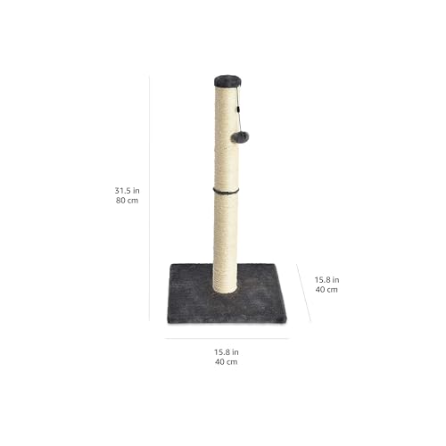 Basics Cat Scratching Post for Indoor Cats & Kittens, Medium (31.5"H), Cat Furniture with Dangling Ball Toy, Grey