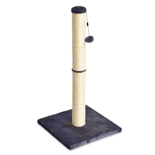 Basics Cat Scratching Post for Indoor Cats & Kittens, Medium (31.5"H), Cat Furniture with Dangling Ball Toy, Grey