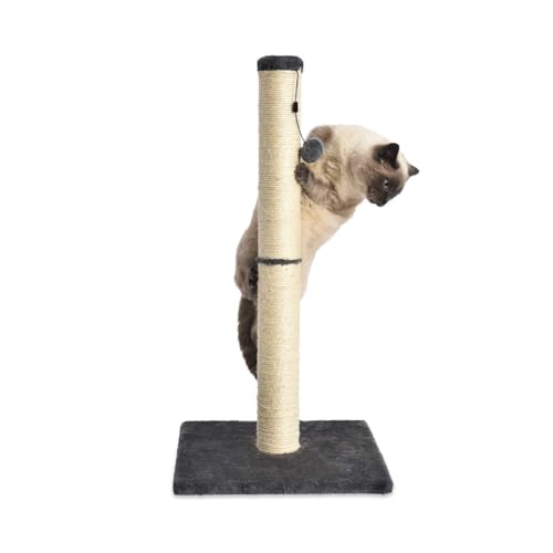 Basics Cat Scratching Post for Indoor Cats & Kittens, Medium (31.5"H), Cat Furniture with Dangling Ball Toy, Grey