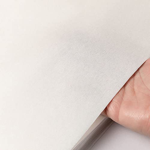 Firdnyohs 100PCS Bird Cage Liner Papers, Disposable Cage Paper Liners Precut Absorbent Cushion Pad Mat Accessories for Pet Bird Parrot (White)