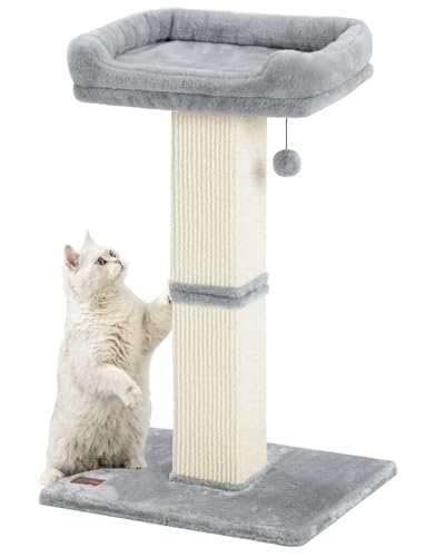 Karolpar 32" Cat Scratching Post for Indoor Cats, Sisal Cat Scratcher with Plush Perch, Large Scratch Post with Bed, Removable Cover, Sisal