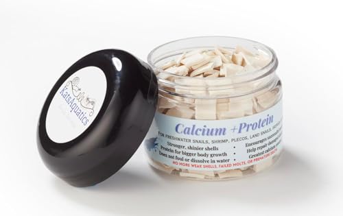 Calcium + Protein, for Strong Shells, Healthy Molts, 100% Natural, Does Not Dissolve in Water, Fast Sinking for Aquatic Shrimp, Snails, Plecos and
