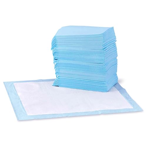 Basics Leak-Proof Dog and Puppy Potty Training Pee Pads with Quick-Dry 5-Layer Super Absorbent Design, Regular Size 22 x 22 inch, Blue & White, 100