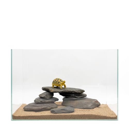 Aquarium Stone Natural Slate Stream Turtle Tank Rocks 3-7 inches Fish Rock for Aquarium Aquascaping Shrimp Tanks Amphibian Enclosures Paludarium-5lb