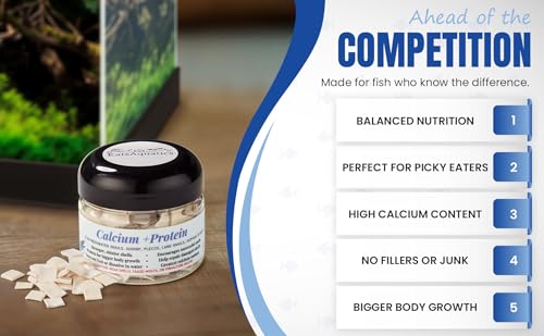 Calcium + Protein, for Strong Shells, Healthy Molts, 100% Natural, Does Not Dissolve in Water, Fast Sinking for Aquatic Shrimp, Snails, Plecos and