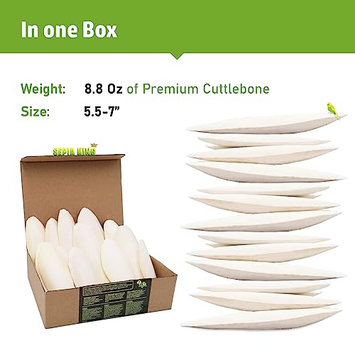 Large - 100% Natural Calcium Supplement - Premium Cuttlebone perfect for Birds, Tortoises, Snails, Reptiles - 5.5 to 7 inch