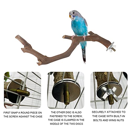 5PCS Bird Perch Stand Natural Wooden Parrot Stand Branch,3 Grape Wood Perch,2 Stand,Paw Grinding Fork Parakeet Chewing Stick Exercise Training