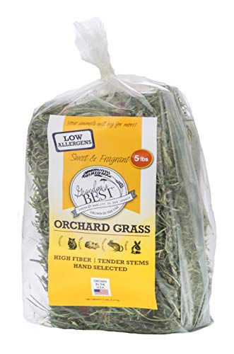 Grandpa's Best Orchard Grass Bale, 5 lbs,green