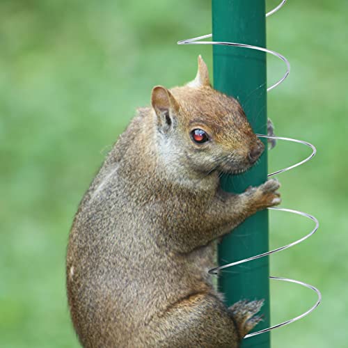 3 Pieces Squirrel Baffle Metal Spring Device Squirrel Barrier Spring Type Coil Outdoor Bird Feeder Accessories for Bird Feeder Poles (3)