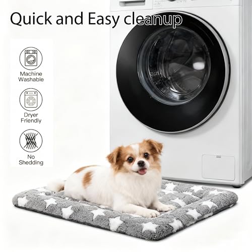 Dog Bed Mat, Reversible Crate Pad & Cute Dog Bed - Machine Washable Kennel Mat with Ultra Soft for Small Dogs (Cool/Warm), 24" x 18", Grey&Star