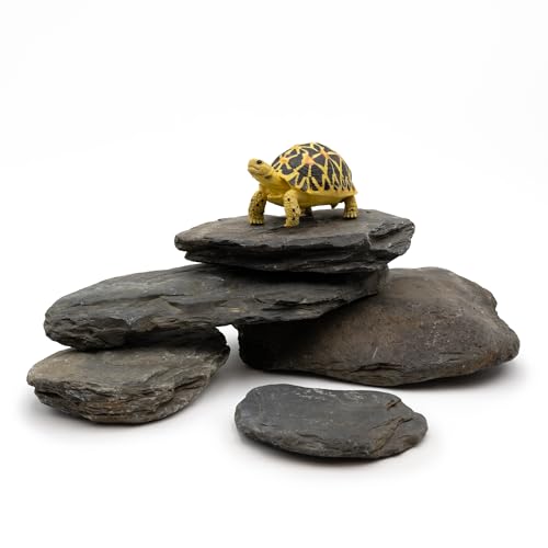 Aquarium Stone Natural Slate Stream Turtle Tank Rocks 3-7 inches Fish Rock for Aquarium Aquascaping Shrimp Tanks Amphibian Enclosures Paludarium-5lb