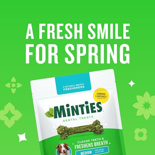 Minties Dental Chews for Dogs, 60 Count, Vet-Recommended Mint-Flavored Dental Dog Treats for Medium Dogs, Bones Clean Teeth, Fight Bad Breath, and