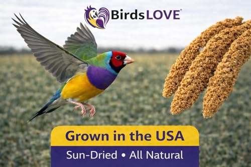 Birds LOVE Millet Tips & Tails for Birds - Parakeets, Cockatiels, Lovebirds, Finches, Budgies, Canaries, Cockatoos - Natural & Healthy Millet for