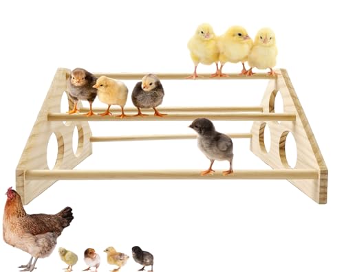 Large Wooden Pine Chick Perch Roosting Bar for Baby Chicks Brooder Coop, Chicken Training Toy Stand
