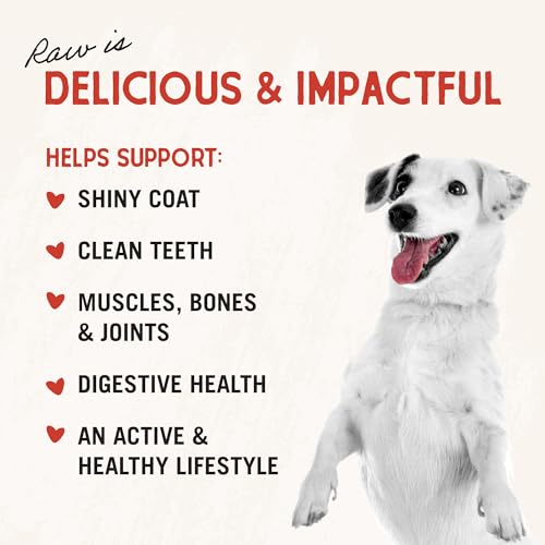 Stella & Chewy's Freeze-Dried Raw Chicken Heart Dog Treats - Single Ingredient, No Additives - Premium Training Treats - Perfect For Picky Eaters