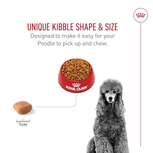 Royal Canin Breed Health Nutrition Poodle Adult Dry Dog Food, 10 lb Bag