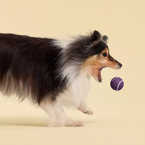 Playology Dog Toys | Squeaky Chew Ball for Dogs, Value 3-Pack | Bacon Scented Small Dog Balls | Bouncy Floating Chew Toys for Fetch