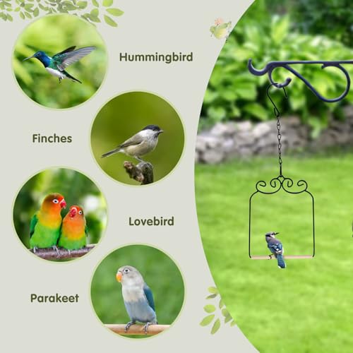 2PK Metal Frame Hummingbird Swings and Perches with Wooden Dowel Black Bird Swing Outdoor Bird Perch Humming Bird Swing (2PK)