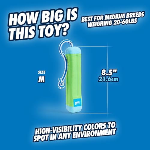 Chuckit! Amphibious Bumper Fetch Stick Toy for Dogs - Floats in Water - Interactive Dog Toys to Keep Them Busy - Tough Rubber, Nylon, and Foam