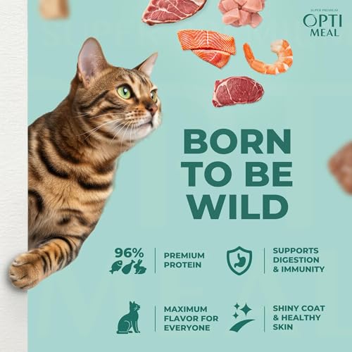 Optimeal Grain-Free Wet Cat Food Pouches – Beef & Rabbit in Savory Gravy, High Protein & Moisture-Rich Tender Morsels, Indoor Adult Cat Food Wet with
