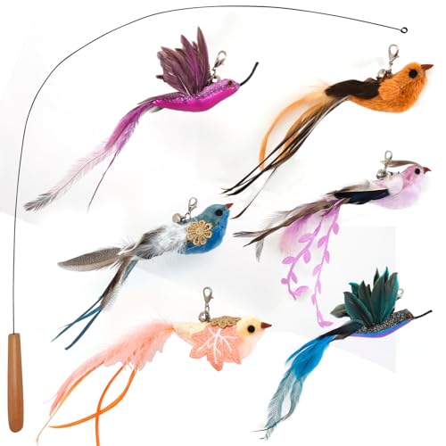 miwoowim Interactive Cat Toys for Indoor Cats - 35'' Steel Wire and 6PCS Feather Bird Refills,Teaser Toy,Cat Wand Toy,Feathers & Bells, Realistic