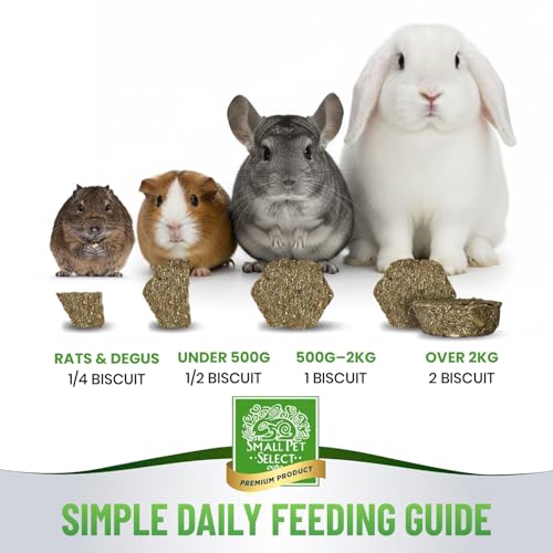 Small Pet Select - Select Care Vitamin C Support Supplement, Natural High Fiber Timothy Hay Based Treats for Rabbits, Guinea Pigs, Hamsters, Other