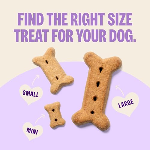 Wellness Old Mother Hubbard Classic P-Nuttier Dog Biscuits, Natural Training Treats, Peanut Butter Flavor, Mini Size, 6 lb Box