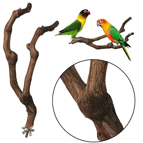 kathson Natural Parrot Perch Bird Stand Pole Wild Grape Stick Paw Grinding Fork Parakeet Climbing Standing Branches Toy Chewable Cage Accessories for