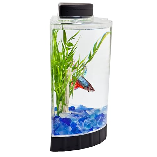 Tetra LED Half Moon Aquarium Kit, 1.1 Gallons, Small, Clear Plastic Fish Tank With Curved Front, Easy Feeding And Movable, Energy-Efficient LEDs