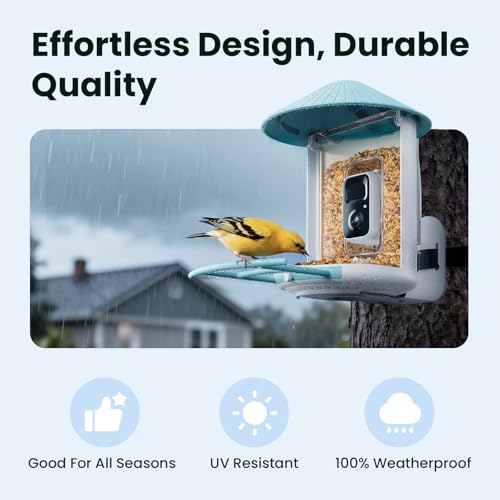 NETVUE by Birdfy Smart Bird Feeder with 2K HD AI Camera Solar Powered, Wireless Wildbird Watching, Live Stream&Color Night Vision, Auto-Capture