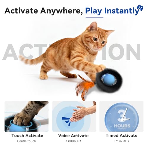 Interactive Cat Toy with Motion Activated Ball & 7-Hole Play Mat, Hide and Seek Exercise Game for Indoor Cats, Automatic Moving Cat Ball in Pouch