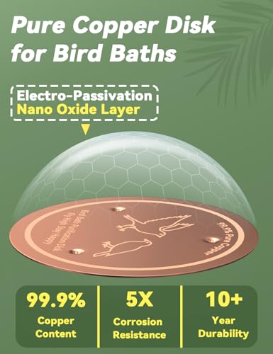 CNARIO Copper Disk for Bird Baths, Bird Baths 99.99% Pure Copper Cleaning Disk, Safe Natural Solution, 0.6mm Thick with Stable Triple-Point Support