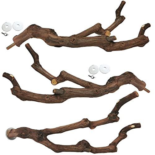 kathson Natural Parrot Perch Bird Stand Pole Wild Grape Stick Paw Grinding Fork Parakeet Climbing Standing Branches Toy Chewable Cage Accessories for