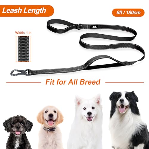 TwoEar 6FT 1IN Strong Black Dog Leash with 2 Padded Handles, Traffic Handle Extra Control, Comfortable Soft Dual Handle, Auto Lock Hook, Reflective