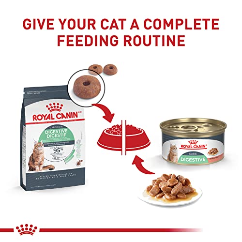 Royal Canin Feline Care Nutrition Digestive Care Adult Thin Slices in Gravy Cat Food, 3 oz (Pack of 12)