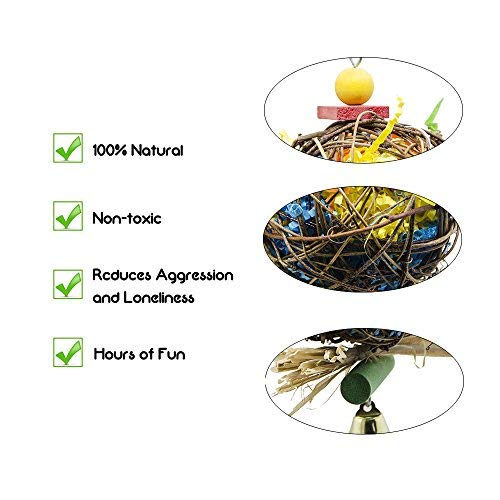 EBaokuup 2 Pack Bird Chewing Toys Foraging Shredder Parrot Cage Shredder Hanging Toy for Cockatiel Conure African Grey