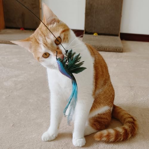 miwoowim Interactive Cat Toys for Indoor Cats - 35'' Steel Wire and 6PCS Feather Bird Refills,Teaser Toy,Cat Wand Toy,Feathers & Bells, Realistic