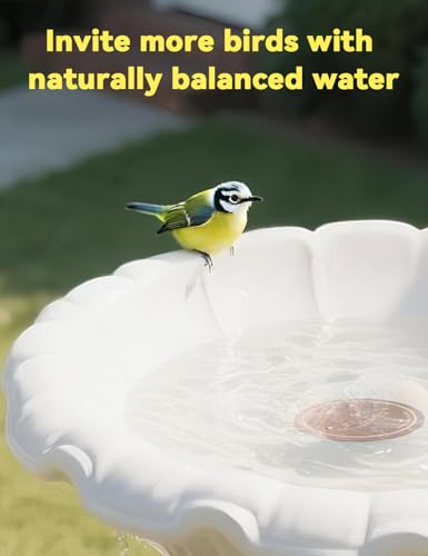 CNARIO Copper Disk for Bird Baths, Bird Baths 99.99% Pure Copper Cleaning Disk, Safe Natural Solution, 0.6mm Thick with Stable Triple-Point Support