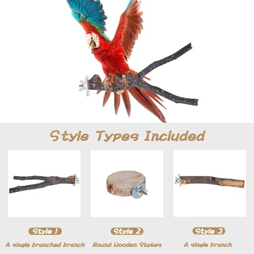 Libiline 8 Pieces Bird Perch Natural Wooden Parrot Perch Stand Fork Toys Hanging Multi-Branch Perches Platform Hammock Swing Toy for Macaws, Small
