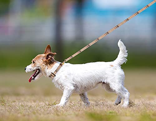 3 PCS Dog Collars for Small Puppy Collar and Leash Set, Bow Tie with Bell, Bandana Leather for Small Dogs Puppies and Cats(Beige)