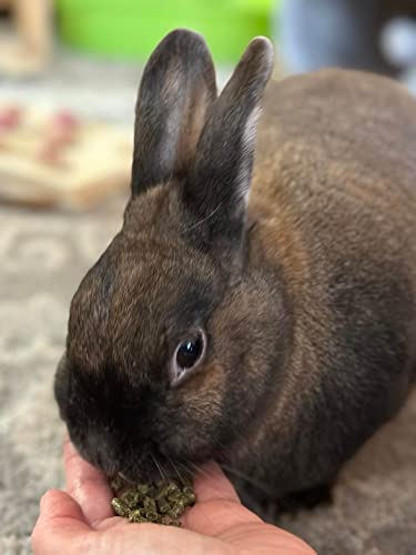 Sherwood Pet Health Adult Rabbit Food Timothy Hay Pellet 4.5 lbs. Hay-Based, Grain-Free, Soy-Free for Better Digestion