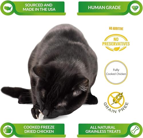 Life Essentials by Cat-Man-Doo | Chicken - 5oz. Bag | Freeze Dried Chicken Cat & Dog Treats | Healthy, Single Ingredient, Training Treats, High