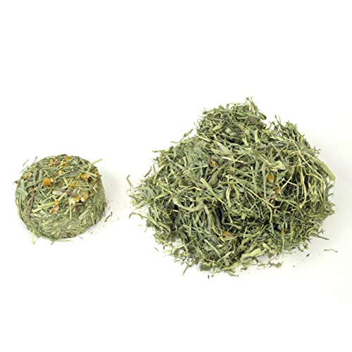 Oxbow Harvest Stacks, Western Timothy Hay with Chamomile, Guinea Pig Hay, Small Pet Bunny Supplies, Western Timothy for Rabbits, Guinea Pigs