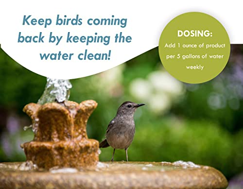 Bird Bath & Fountain Maintenance - (8 Ounces) - Fast-Acting Enzyme-Based Formula Will Extend The Life of Your Water Feature, Aid in Maintaining a