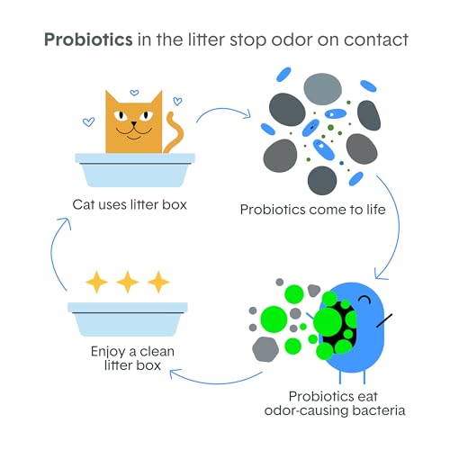 Boxie Probiotic Cat Litter, 40 Day Odor Control, Clumping Clay Kitty Litter, Odor Eliminating Probiotics, Dust-Free, No Fragrances No Fillers, 16 lb