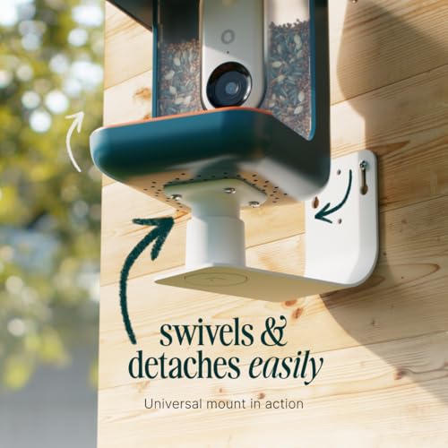 Birdbuddy Wall Mount - Versatile Bird Feeder Wall Mount for Wall & Fences - Durable, Weather-Proof Heavy Duty and Secure & Stylish Outdoor Feeder