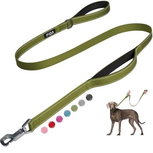 Fida 4 FT Heavy Duty Dog Leash with 2 Comfortable Padded Handles, Traffic Handle & Advanced Easy Snap Hook, Reflective Walking Lead for Large, Medium