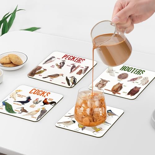 Bird Pun Coasters, Square Funny Coaster Set Coffee Coasters for Bird Lovers Kitchen Decor Housewarming Gifts (4 Pcs)