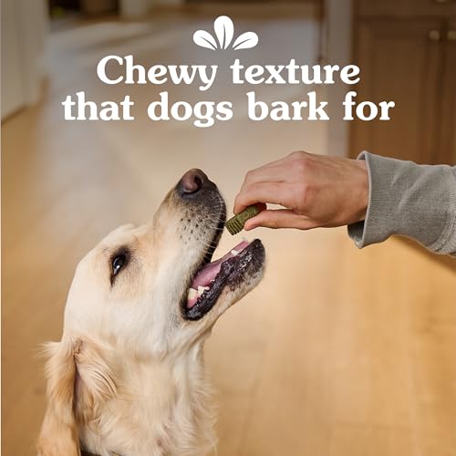Greenies Anytime Bites Dog Treats, Blueberry Flavor, Dog Training Treats, 10.3 oz. Bag